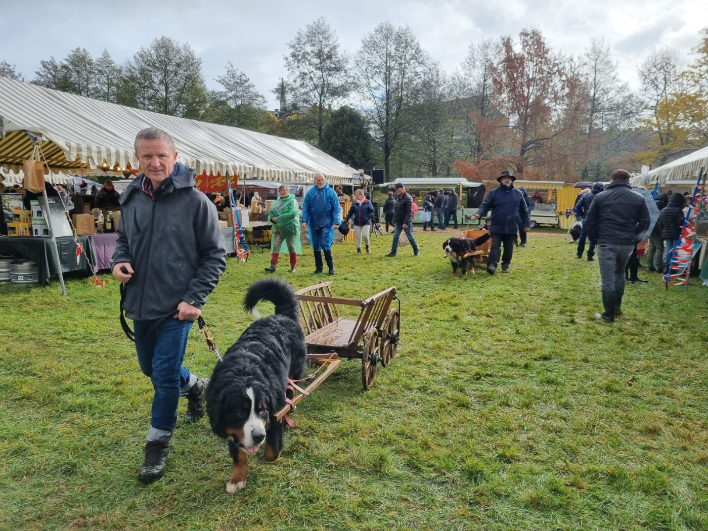 SYRIUS de l'attelage de rubis